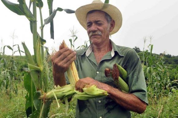 La producción de alimentos es fundamental, garantiza la seguridad alimentaria y el bienestar de la sociedad. #ProducciónDeAlimentos #AgriculturaSostenible 🌱🚜
#ANAPSanCristóbal
@DiazCanelB @FelixDuarteOrte @OnielfernandezP @FrankTejedaHer3 @OsmaniPerez18 @SarduyYamila