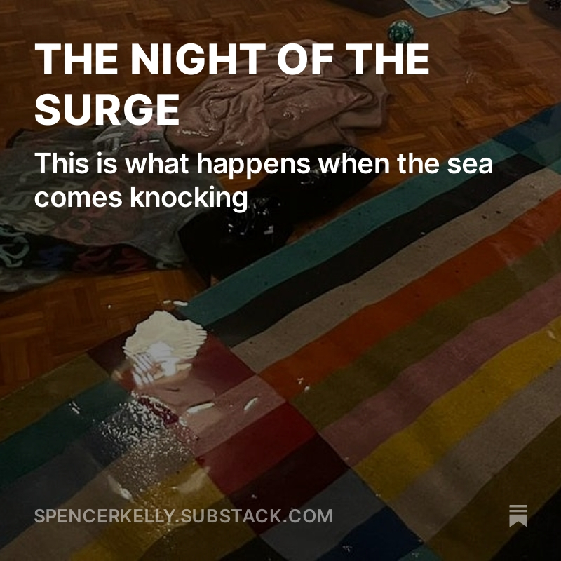 spenley's tweet photo. It’s been an incredibly traumatic two weeks for me, and I’ve found a tiny bit of comfort in writing the story of what happened. If you’d like to read it, it would mean a lot, and if you’d like to subscribe, that would also mean a lot. The link is in the pic, and also below... https://t.co/EDEvi6Vw7G