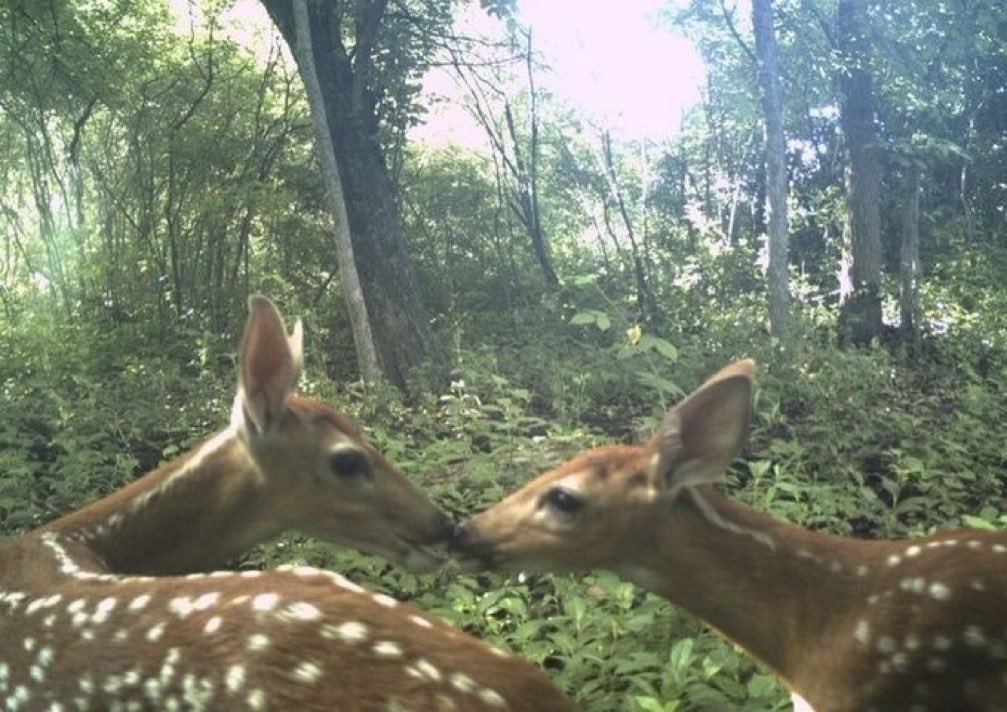fatalplants's tweet photo. perhaps nothing else on earth matters besides the love you take in and the love you put out https://t.co/p9Q9cC96zq