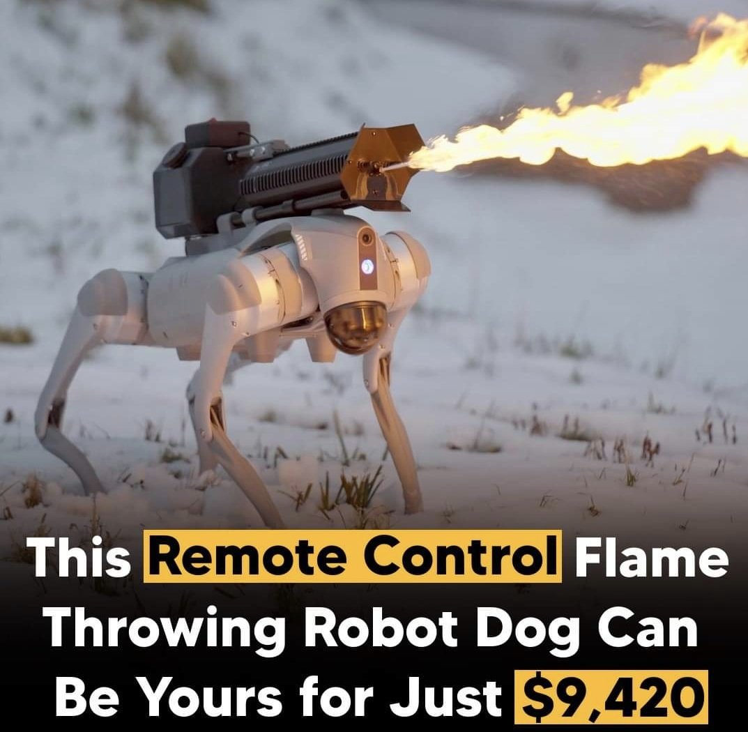 Is this useful or not?? 😲
#robotic #RobotDreams