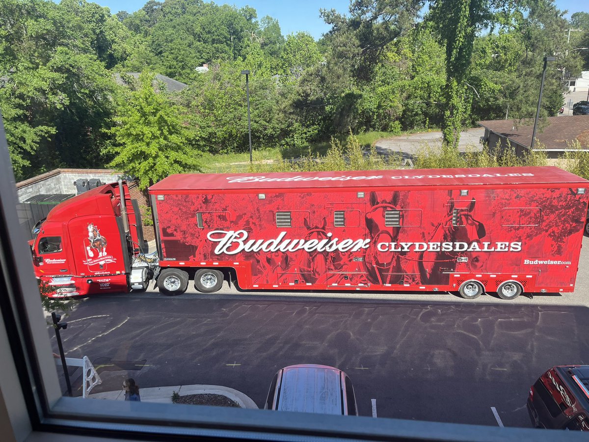 So cool. The Budweiser Clydesdale horses are behind my offices and will be  delivering beer on Main Street to all of the establishments at lunch.EB, image size:1200x900