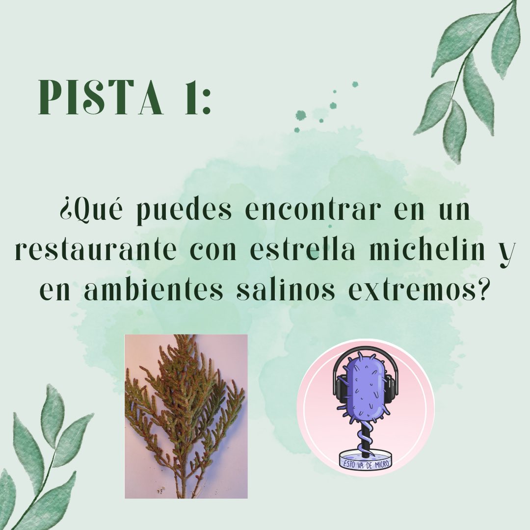 estovademicro's tweet photo. ¡Nueva semana, y continuamos con otro episodio de nuestro podcast favorito!

Nos vamos de la Antártida 🧊 a… ¿un restaurante de estrella Michelin? 😳👩‍🍳 https://t.co/kYMpEDWfzB