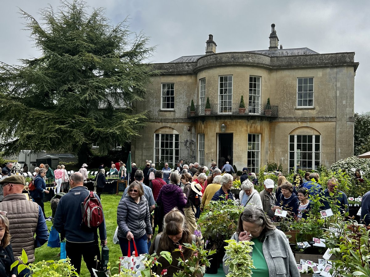 Rare Plant Fair tweet media