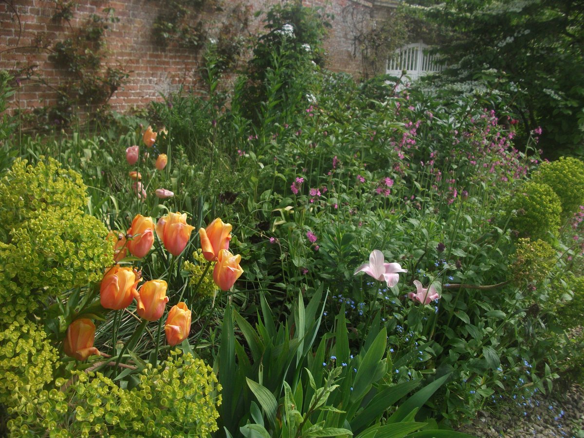 Rare Plant Fair tweet media