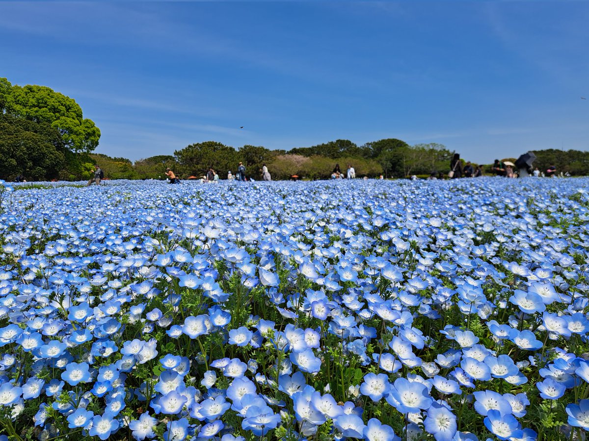 Setouchi115 tweet picture