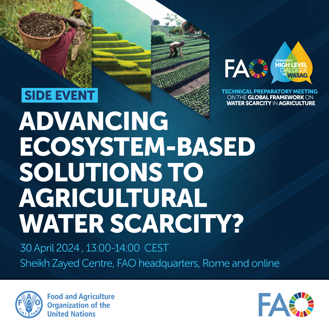 📣 Side event ‘Advancing Ecosystem-based Solutions to agricultural water scarcity?’

'Towards a High-level Dialogue on the Global Framework on Water Scarcity in Agriculture (#WASAG) - Technical Preparatory Meeting'

Follow the webcast
➡️ tinyurl.com/muapwbdb