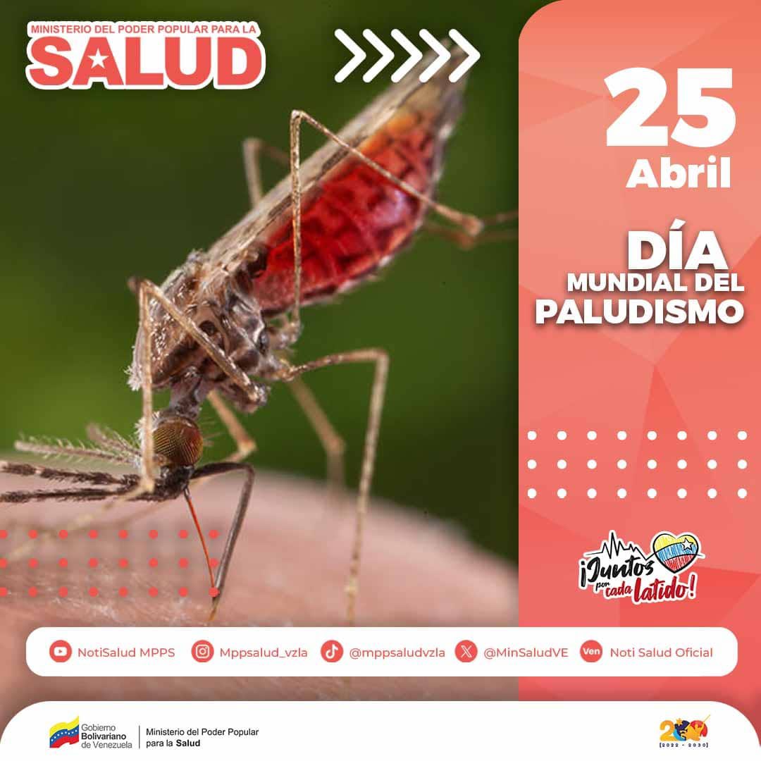 #25Abr | Causado por un parásito Plasmodium, el cual es transmitido por los zancudos del género Anofeles, el paludismo o malaria es una enfermedad prevenible y curable si se toman medidas a tiempo. Elimina los criaderos! #UniónDeLosPueblos @NicolasMaduro @ConCiliaFlores