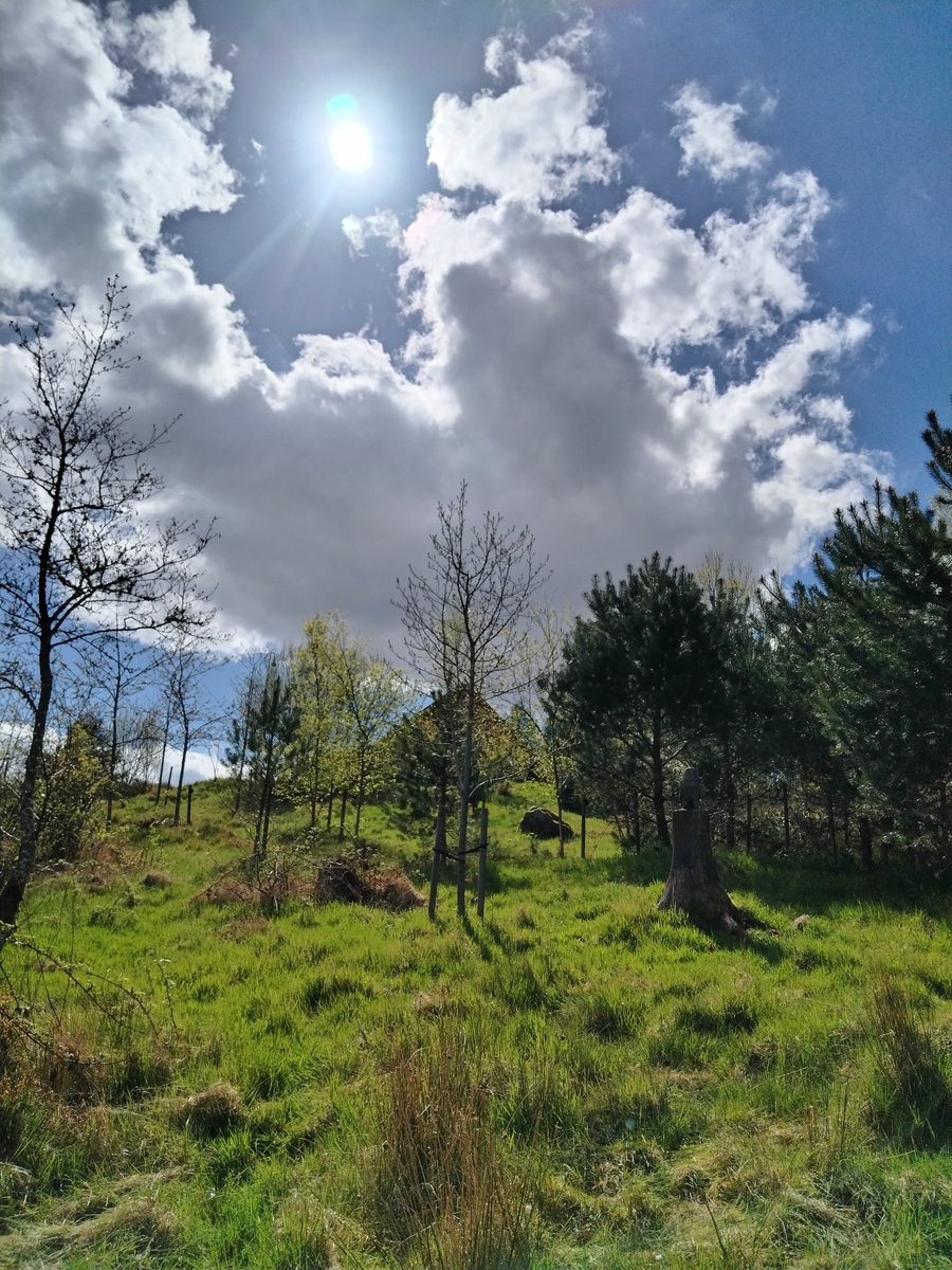 Trail & route checks, flora & fauna recording to views like these @forestholidays Garwnant & Llwyn-0n Reservoir on our doorstep. #natureconnection #getoutside #getoutdoors #ForestFeeling