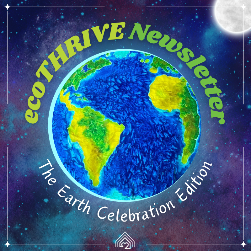 🌍 "Every day is Earth Day!" 🌱

We're excited to share our latest Newsletter with you! 📰

In it, we delve into our exciting collaborations, press coverage, and recent progress. We also highlight the work of one of our newest board members.

mailchi.mp/ecothrivehousi…