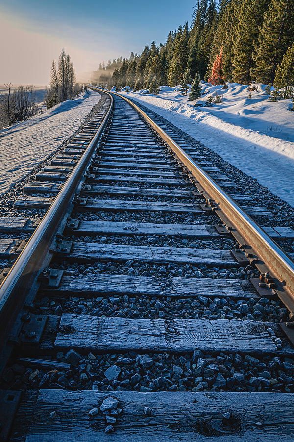 tpeakphotos's tweet image. Into the Haze - BNSF tracks through a Lassen County California winter wonderland.

Prints and merch:
buff.ly/3HbOHzC 

#railroadlovers #bnsf #railroadtracks