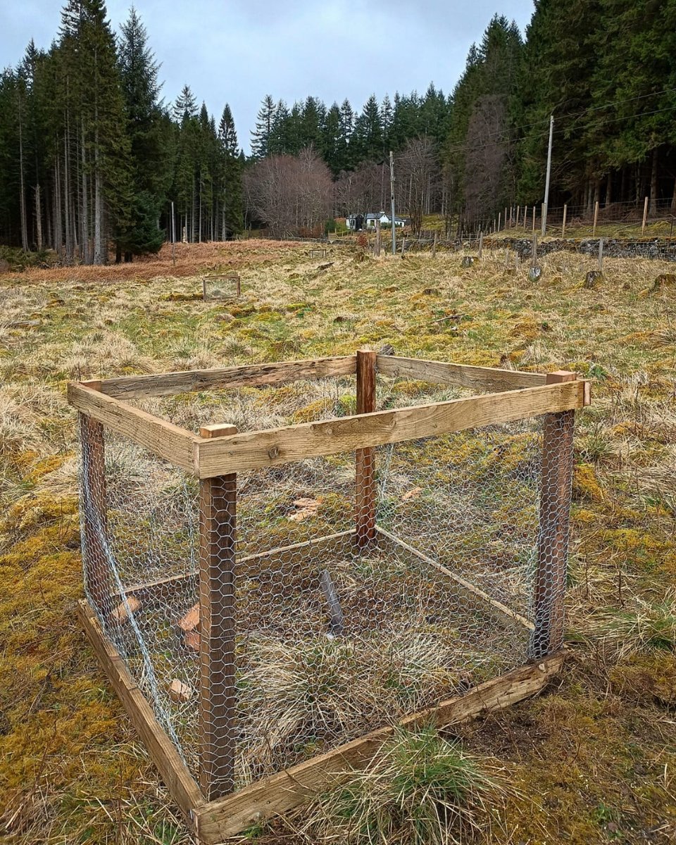 Did you know Scotland is home to wild apple trees?  Recently our staff worked with Highland and Perthshire Community Land Trust and Dr Rick Worrell to plant this rare species in one of our forests.  Learn more about the project online. forestryandland.gov.scot/blog/rare-spec…