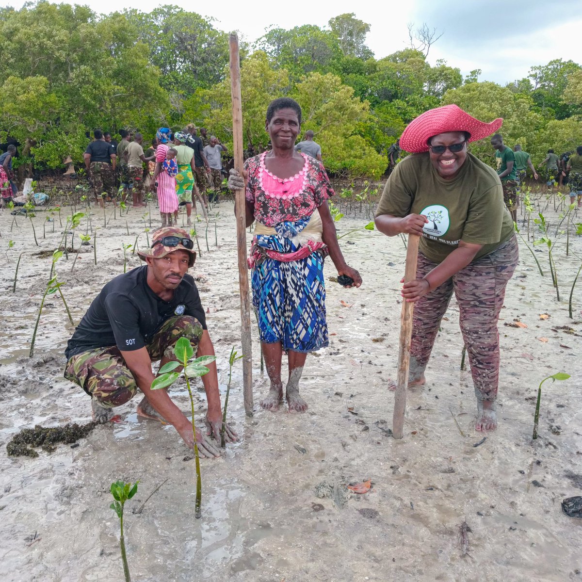 The community is a critical component of our conservation efforts. Today, together with @kdfinfo , @KeEquityBank, and the community, we carried out a mangroves restoration exercise at mida Creek watamu, where 100,000 mangroves were planted.#greeupkenya