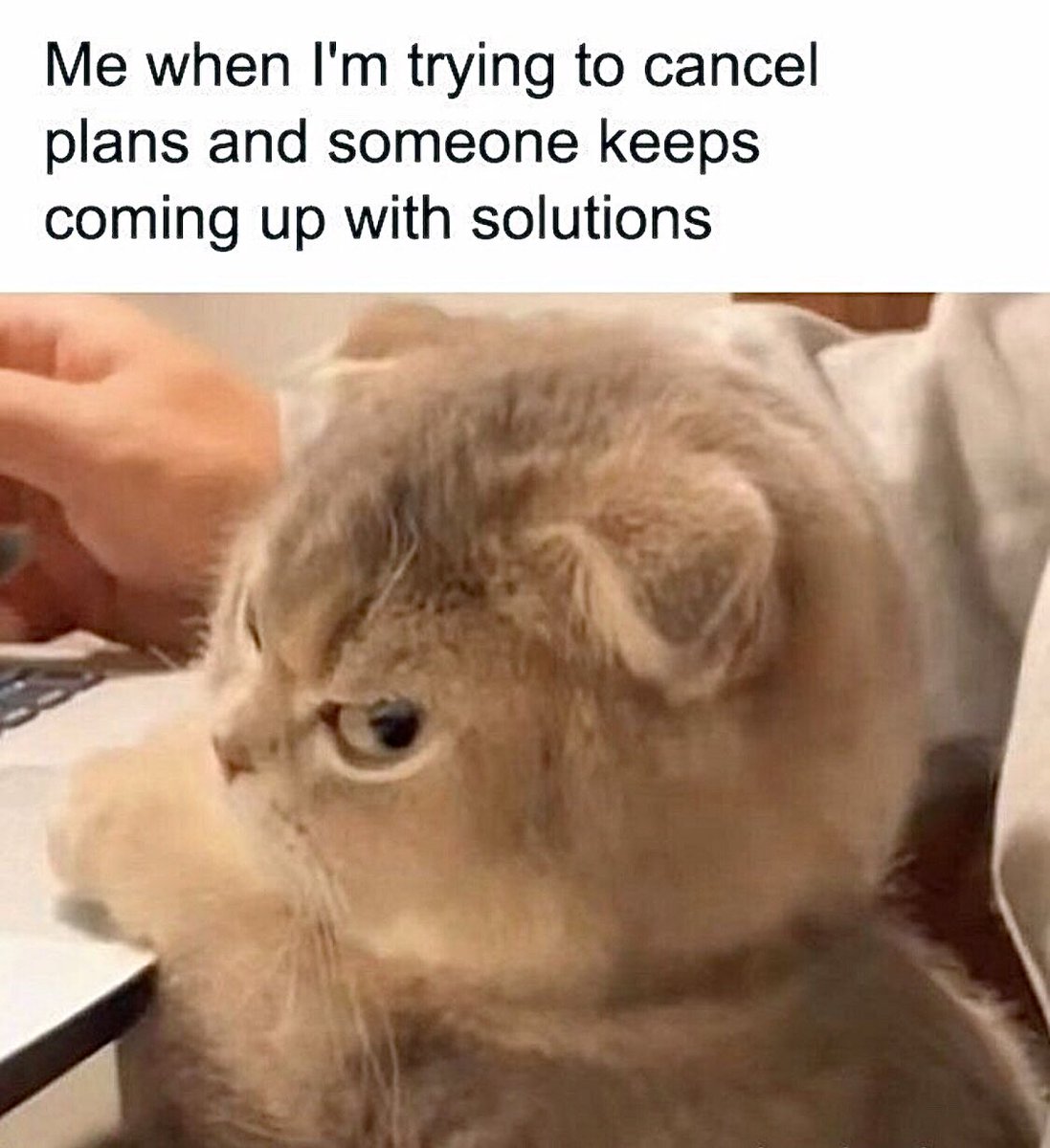 introvertsmemes's tweet photo. https://t.co/VDsBe6bVZq
