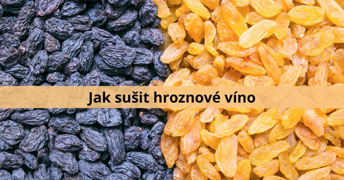 Atlasocz's tweet photo. Domácí rozinky jsou nejen lahodnou pochoutkou, ale i zdravou alternativou k těm kupovaným. I když výroba není zcela jednoduchá, máte tak kontrolu nad procesem: https://t.co/y3WZFbehJd🍇🌞 #DomácíRozinky #SušeníOvoce #ZdraváStrava https://t.co/P9aySFUip1