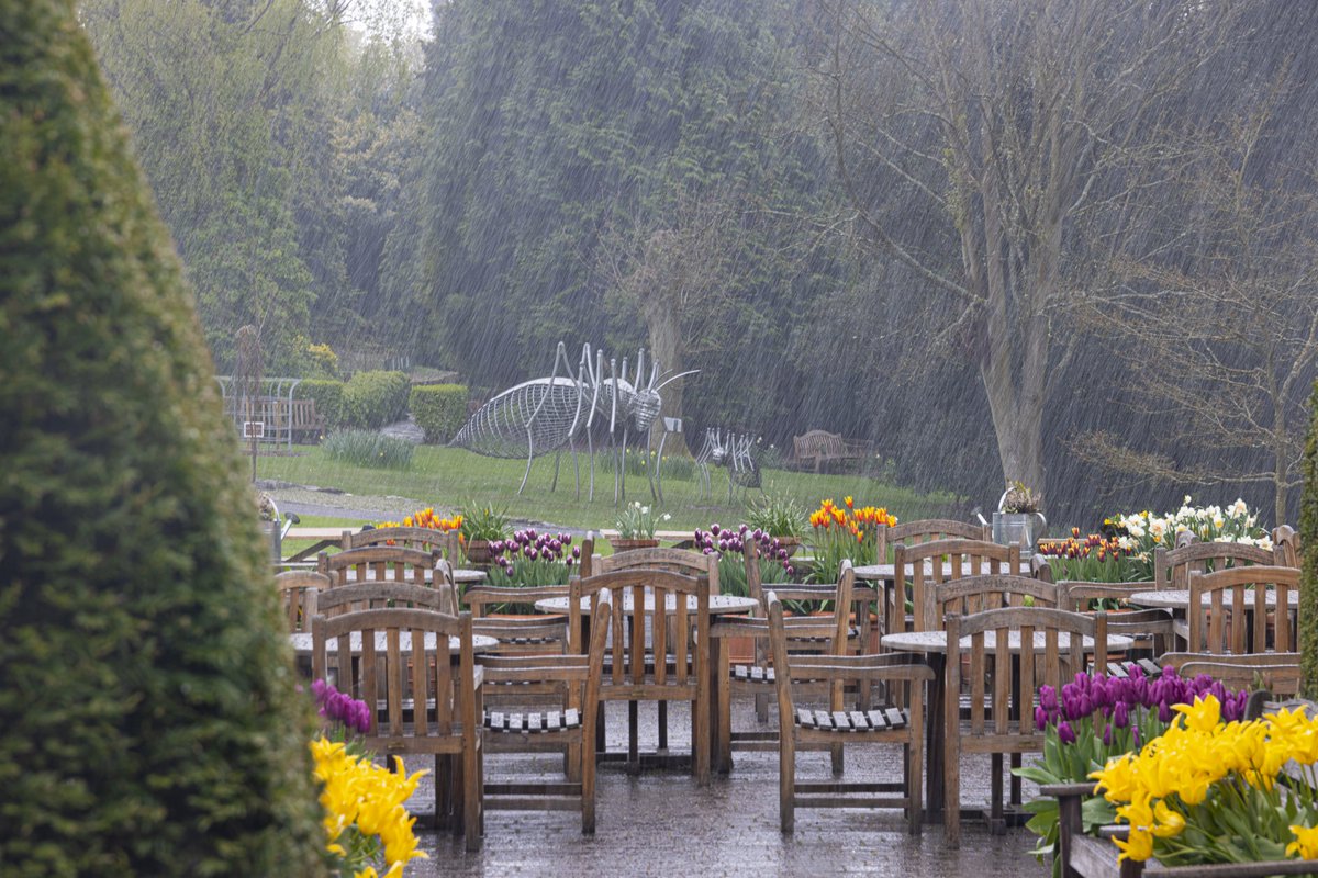 'April showers' Hail stones at durham botanical gardens this afternoon @StormHour @ThePhotoHour