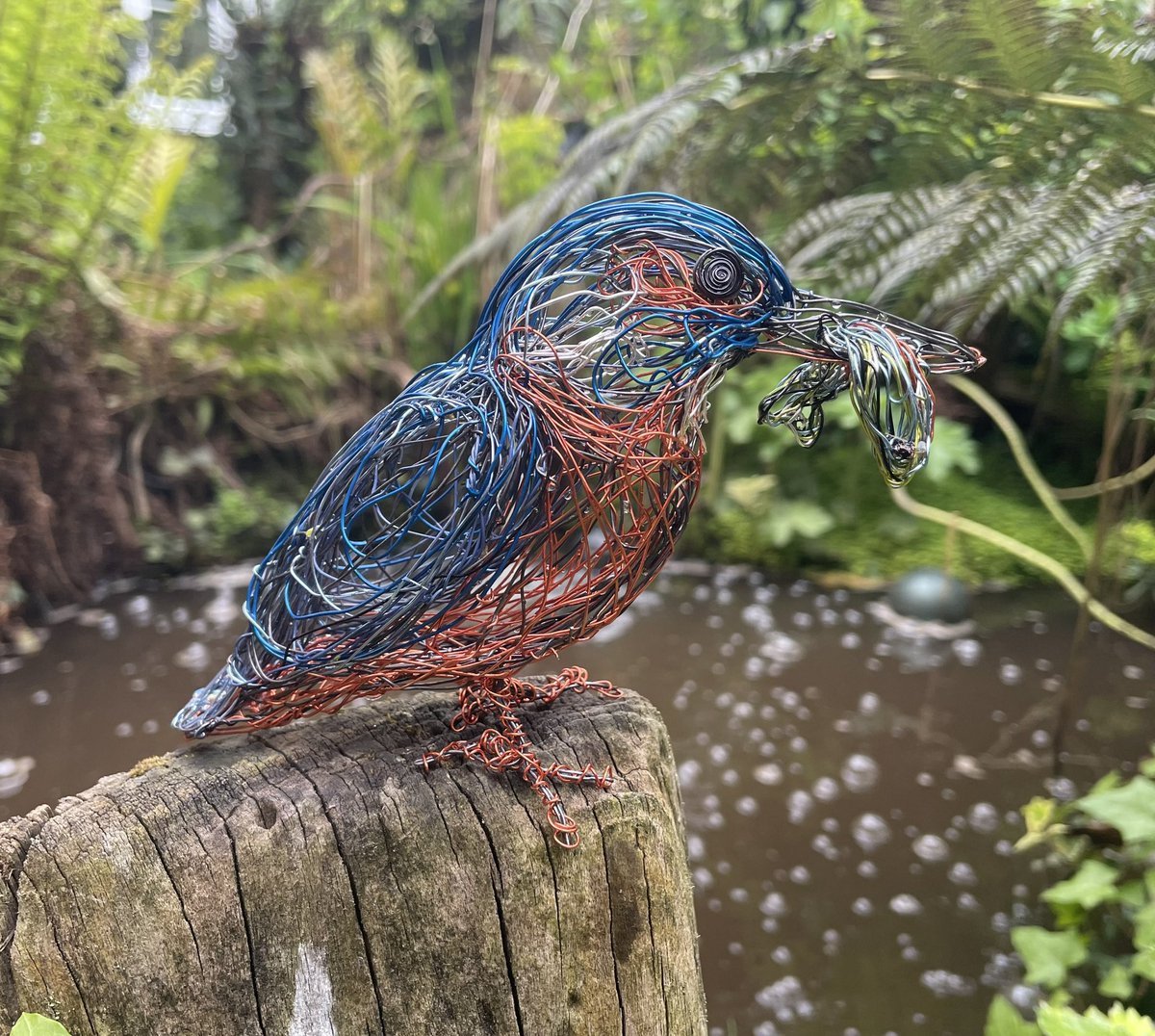 Freehand Wire Kingfisher Sculpture and Stickleback.These,like all my Sculptures are available to commission,simply contact me. #kingfisher #wirebirdsculpture #artforsale #birdartist #wireartist #wirebirdsculpture #paulgreenwildwire