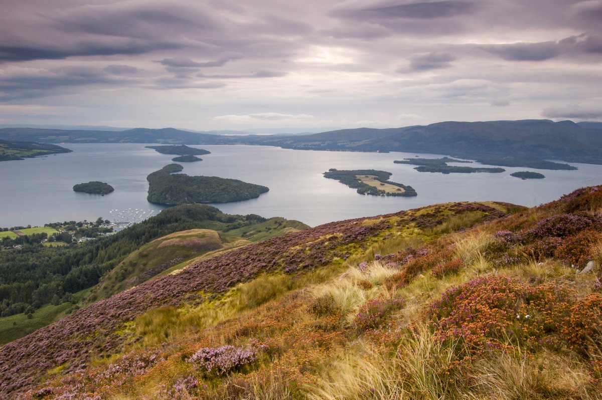 This weekend hundreds of people will take on the @flingrace - an amazing 53 mile run from Milngavie, over Conic Hill and through the National Park to Tyndrum.