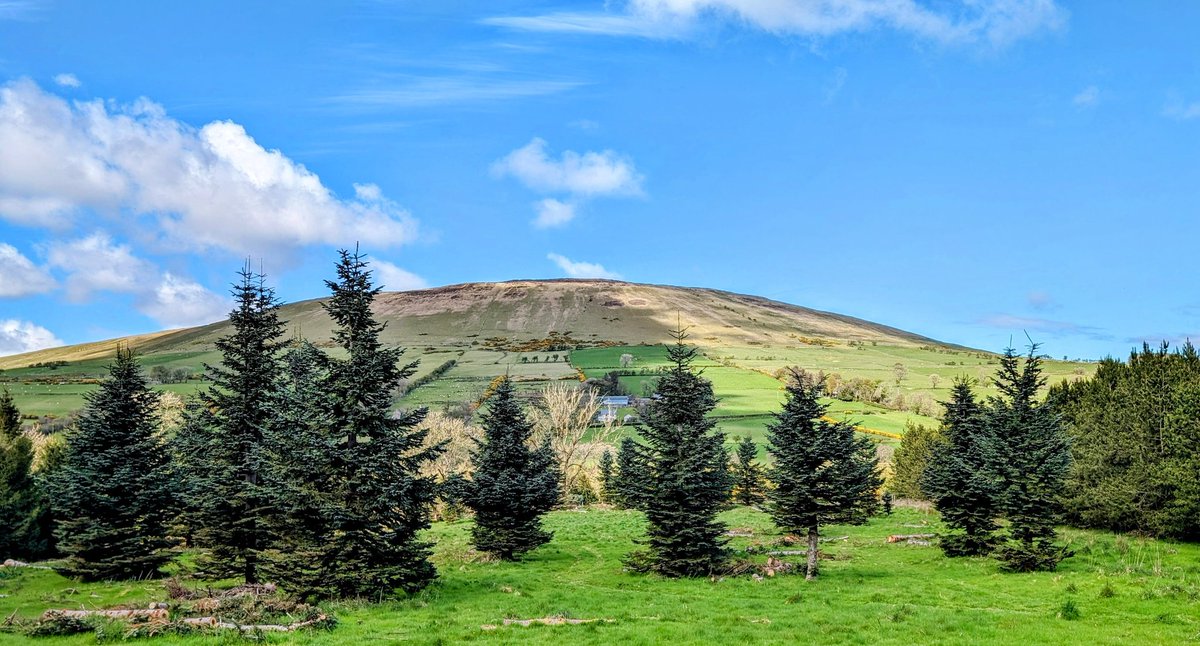 Knocklayde Mountain as seen from Breen Oakwood #NorthCoast #CausewayCoast #NorthernIreland @bbcweather @utv  @deric_tv #VMWeather @DiscoverNI  @LoveBallymena @EventsCauseway #Photography