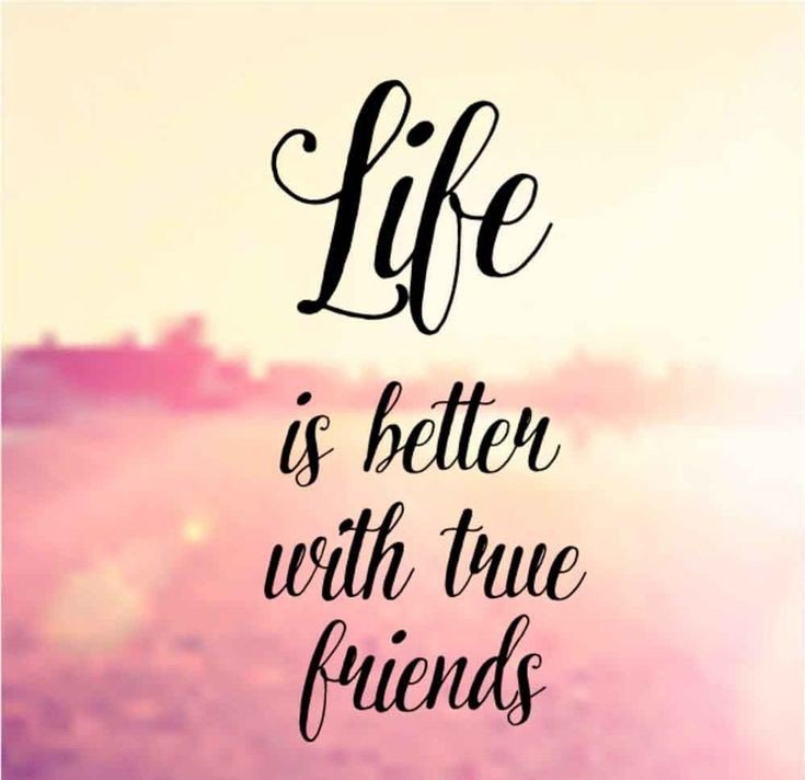 A sweet friendship refreshes the soul 🥰
#friendship 
#friend #truefriends 
#lifewithfriends
#friendshipquotes
#friendforever