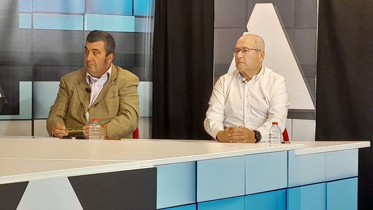 12tv Alicante tweet media
