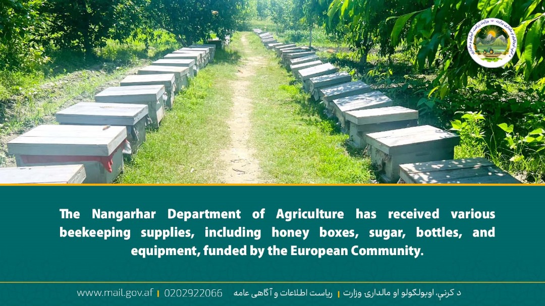 The Nangarhar Department of Agriculture has received various beekeeping supplies, including honey boxes, sugar, bottles, and equipment, funded by the European Community.