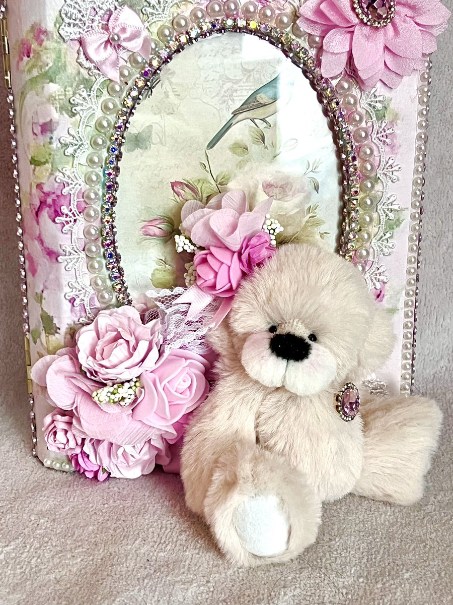 DonnaFifarek's tweet photo. This darling Bear Cub will be available for adoption in the next show…https://t.co/elwBSR4g4Z https://t.co/BFiTE55Rn1