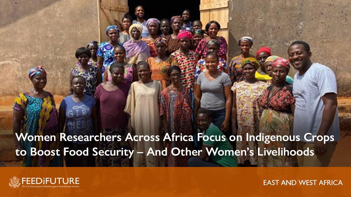 .@FeedtheFuture: 'As mulheres desempenham um papel significativo na produção de hortícolas, mas muitas vezes enfrentam desafios maiores...' Leia como quatro mulheres investigadoras africanas estão a trabalhar para aumentar a nutrição e a segurança económica para mulheres pequenas