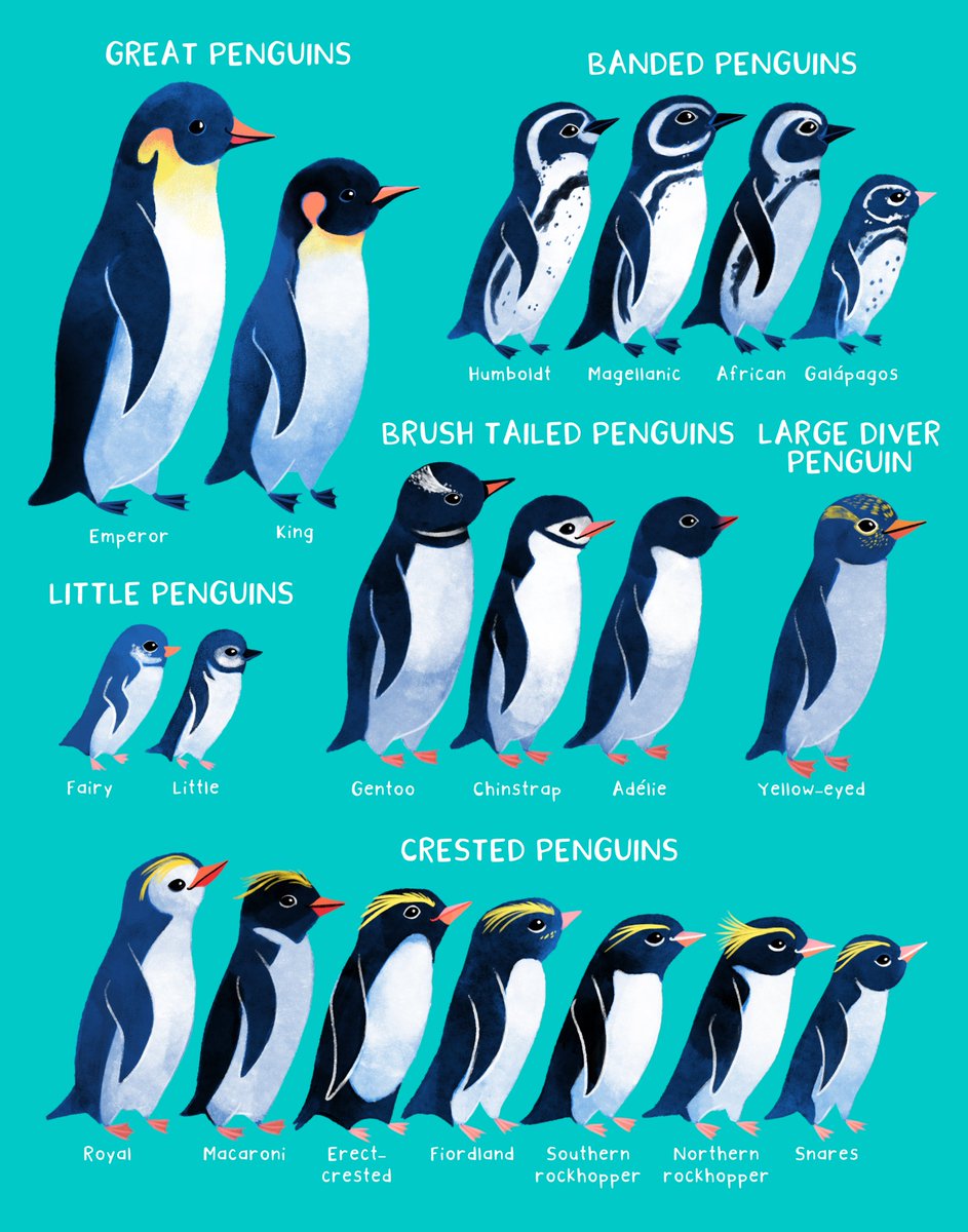 Happy #WorldPenguinDay! Poster now available in my shop daughterearth.com/artshop/pengui… #Penguins