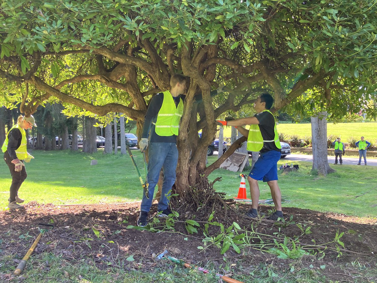 Celebrating Earth Day with action! Our Verathon Cares Team joined forces with the city of Bothell for a park clean-up, tackling tasks from ivy removal to landscaping. We're committed to giving back to our communities and inspiring others to do the same. #lifeatverathon #verathon