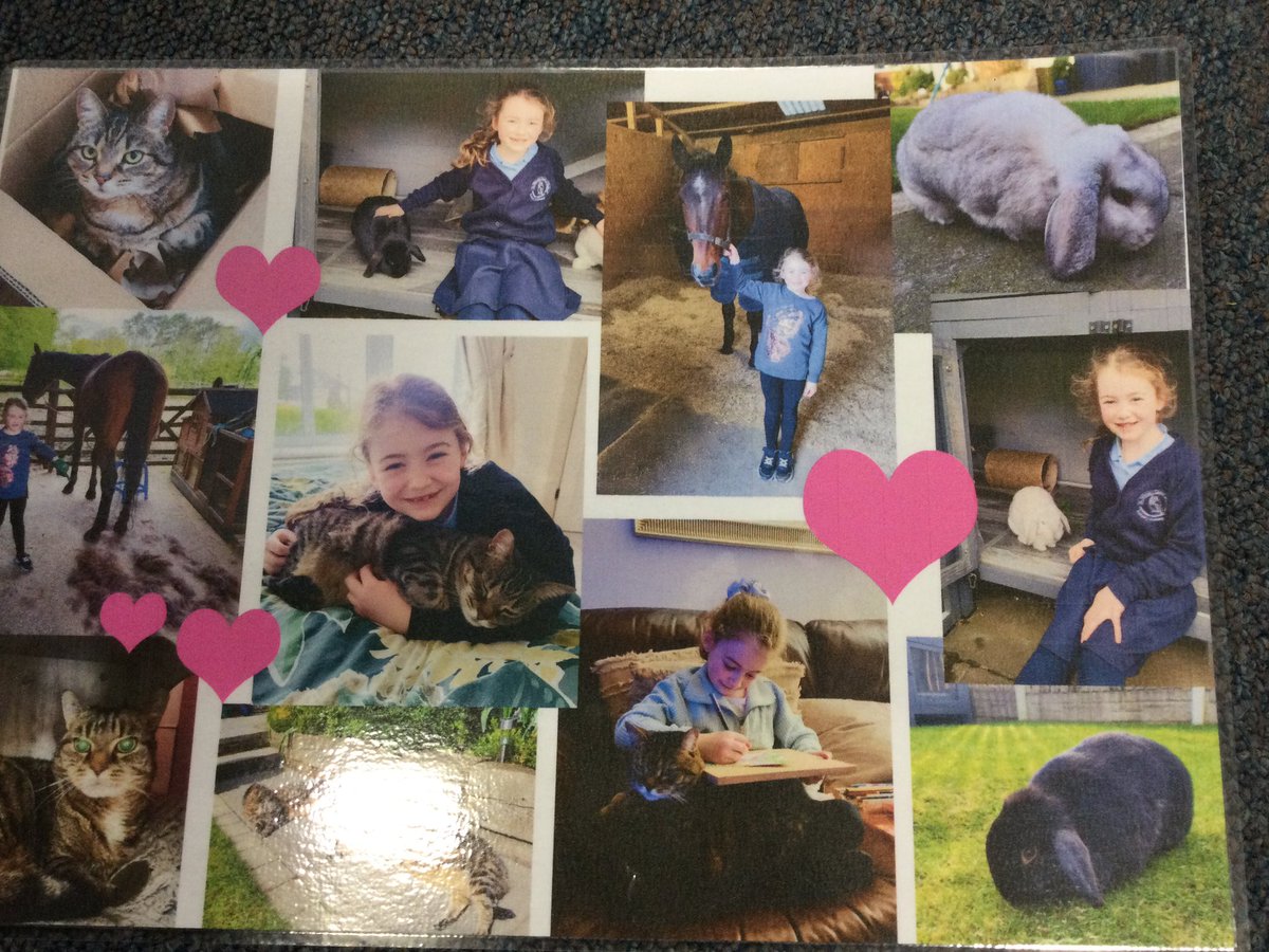 Mrs Crawford's Class tweet media