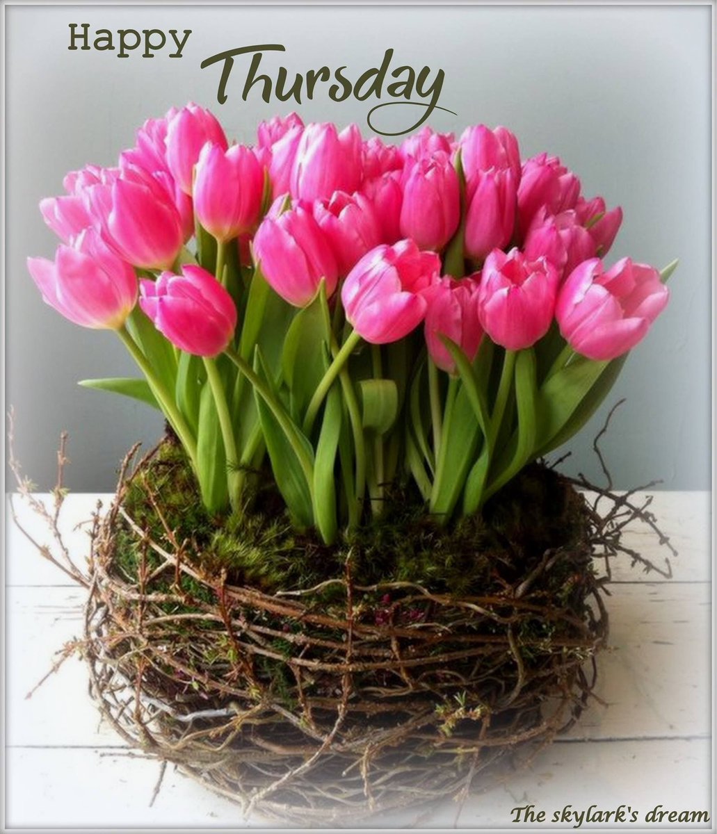 Happy Thursday! Believe in yourself! 🌞 #happythursday #spring #tulips #believeinyourself #positivelysunshine