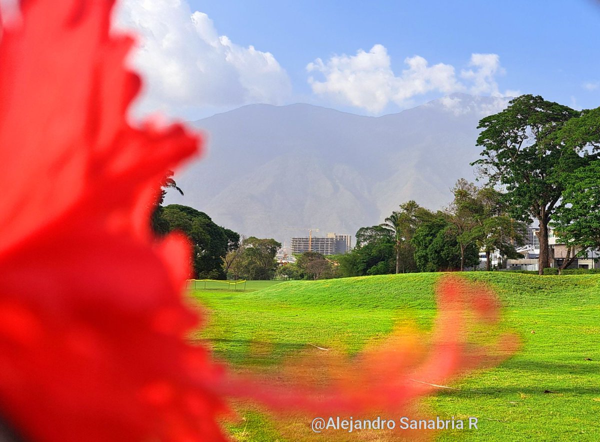 #25Abr El #Avila, el campo y la flor #Venezuela vía @AlexSanabriaR