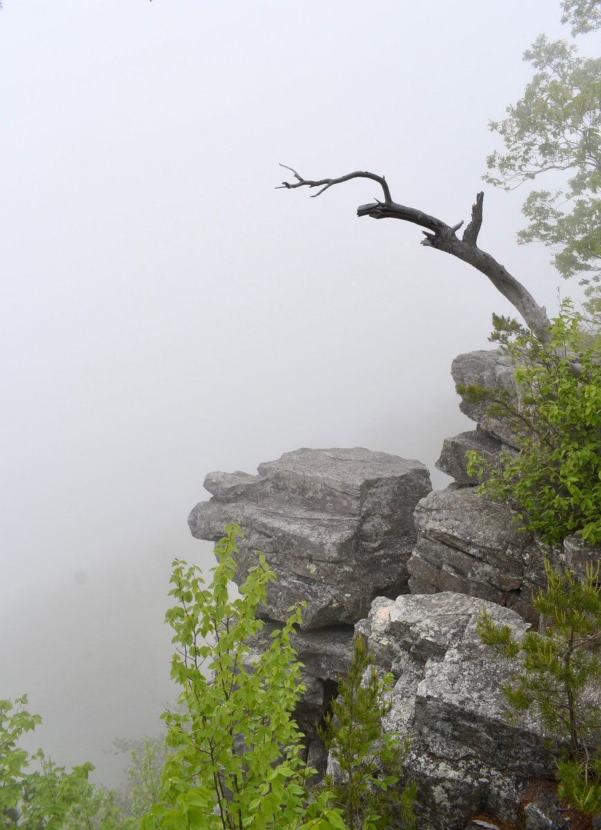 AdventurersLfM's tweet photo. Misty weather at Cheaha State Park gave me some serious spooky vibes over the weekend 👻

#CheahaStatePark #Alabama #PulpitRock #spooky #outdoors https://t.co/nD0h4mTWQu