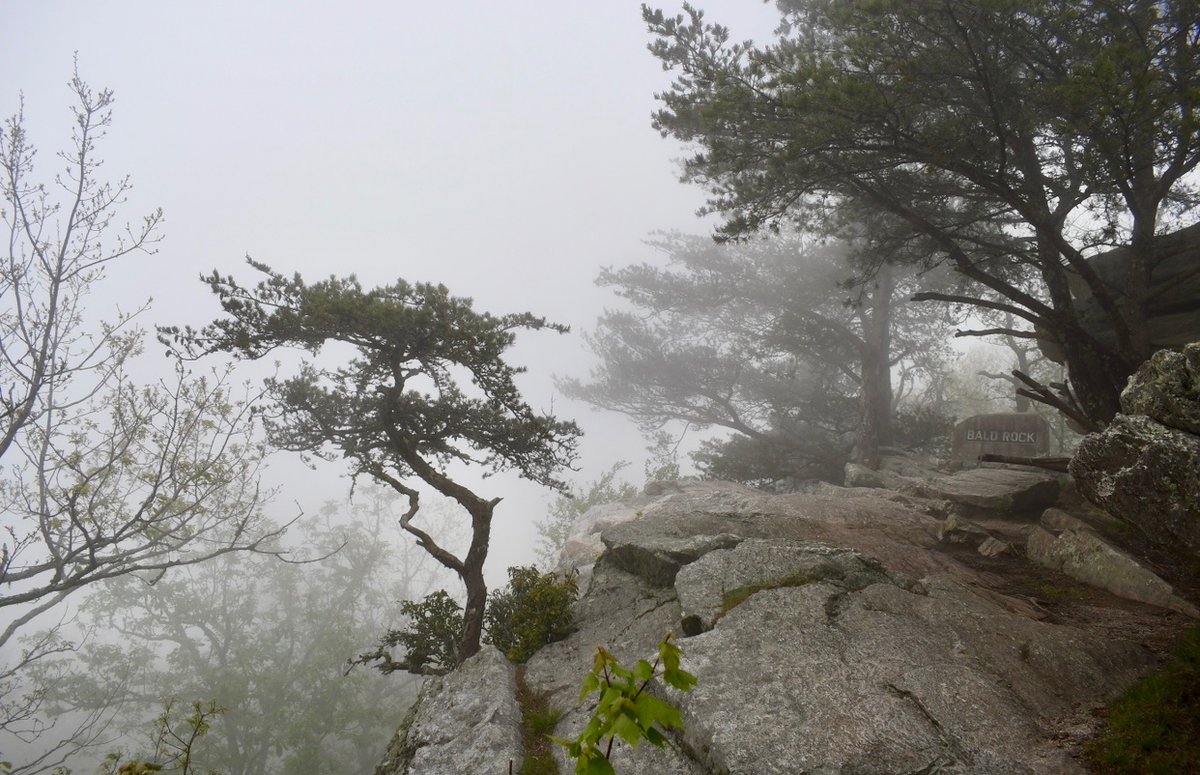 AdventurersLfM's tweet photo. Misty weather at Cheaha State Park gave me some serious spooky vibes over the weekend 👻

#CheahaStatePark #Alabama #PulpitRock #spooky #outdoors https://t.co/nD0h4mTWQu