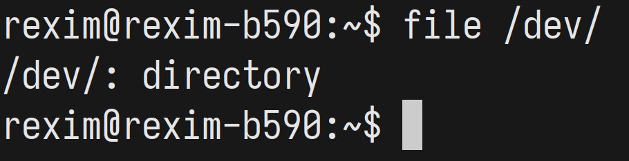 tsoding's tweet image. Did you guy know that Linux is so Developer-Oriented that it has a special folder called /dev/ where you are suppose to develop all your projects? It's true, check it on your Distro!