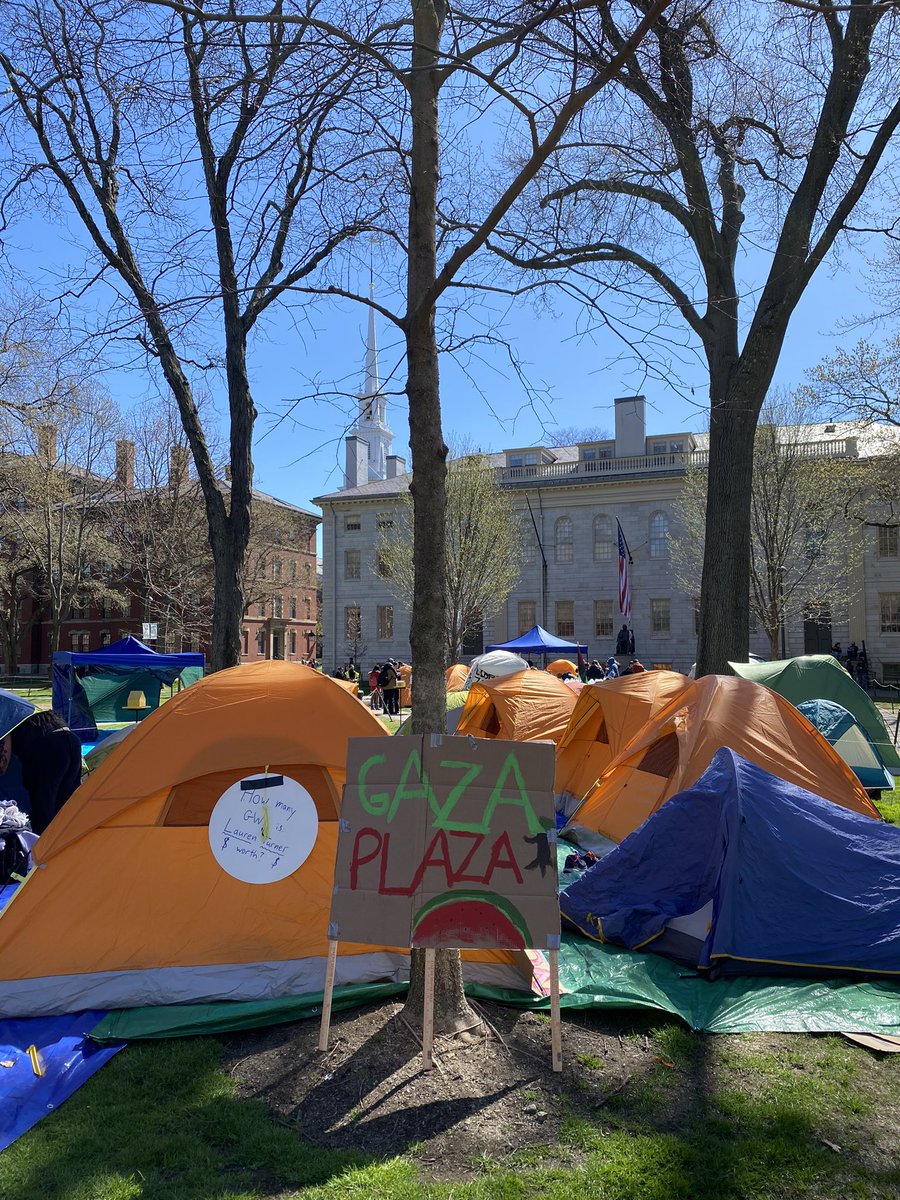 Good morning from Harvard Yard