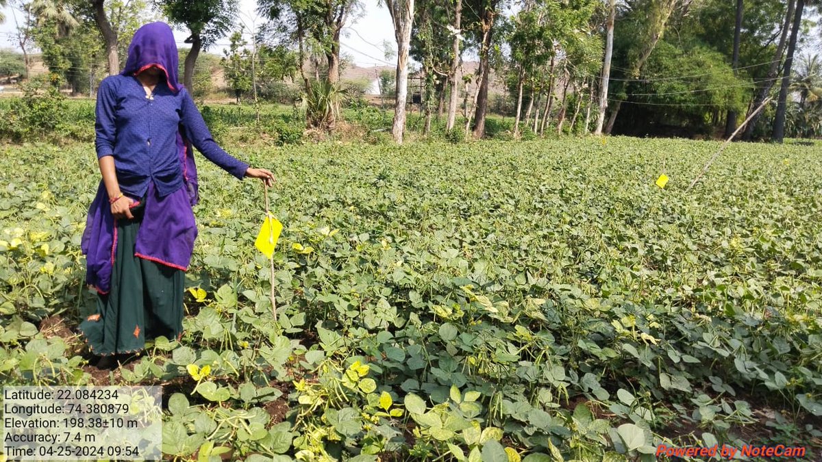 When you plant,you are not just raising a tree but a hope for the future generations.A plant is born out of a seed.Similarly,a generation is saved with a noble initiative #naturalfarming @vijaythallam @APZBNF @ISAnandKumar1 @Pramel73 @AlirajpurDm @DAY_NRLM @Lebdanx @DadapeerRyss