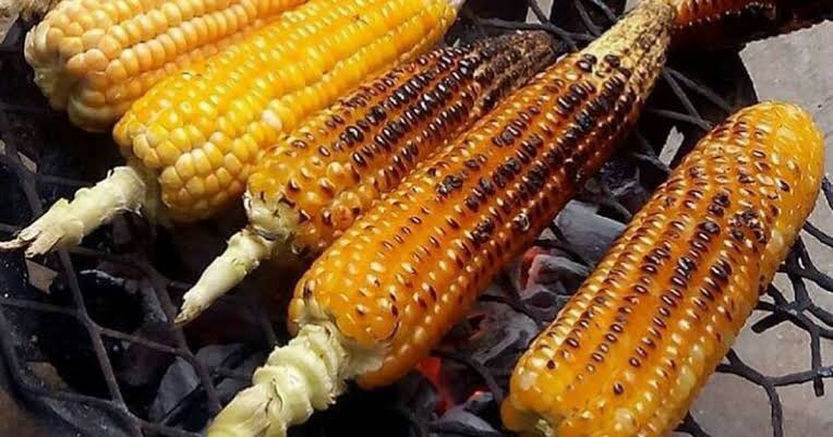 How do you like your corn? Boiled or roasted?