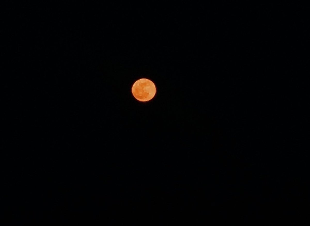 tripf0x's tweet photo. in love with the beach, in love with the moon 🤍 https://t.co/UlhqRgPlfd