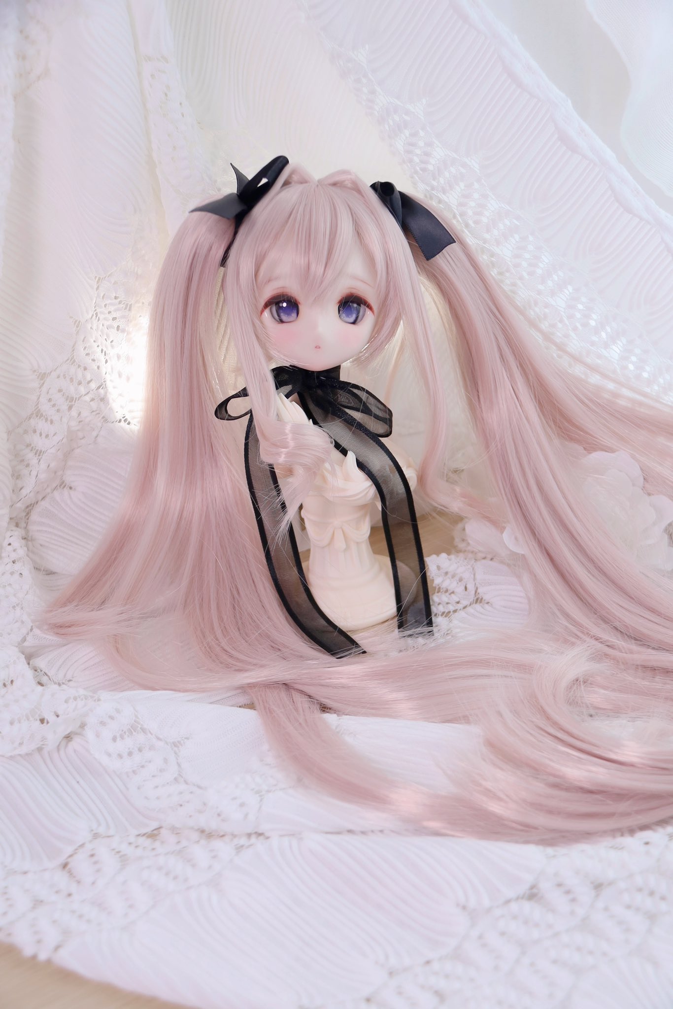 🌿ichigo🍓ハムスター🪽プレゼント🎁企画発送完了 7月27アイ 🌿ichigo🍓ハムスター🪽プレゼント🎁企画発送完了 7月27アイ