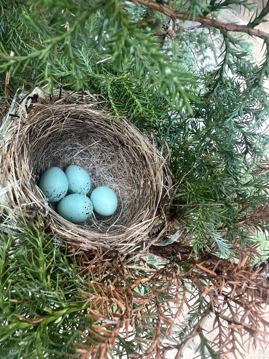 Heather Holleman (@heatherholleman) on Twitter photo 