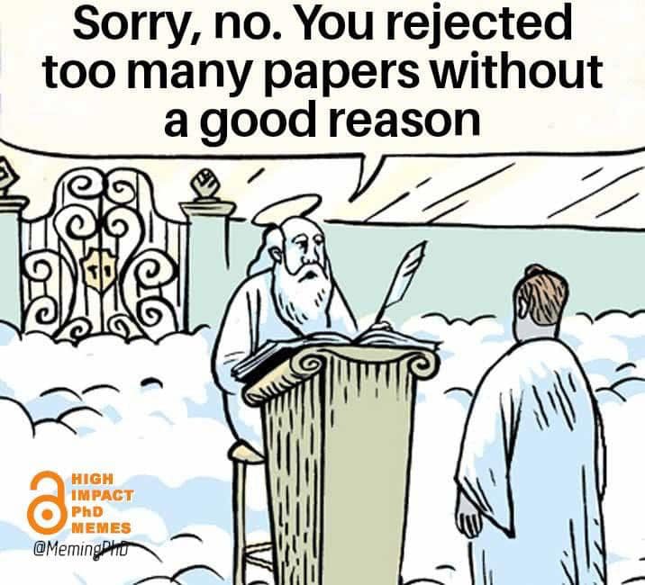 What's now - purgatory or hell? #Reviewer2 #AcademicTwitter