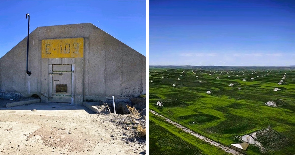 Matthew Plotkin tweet media