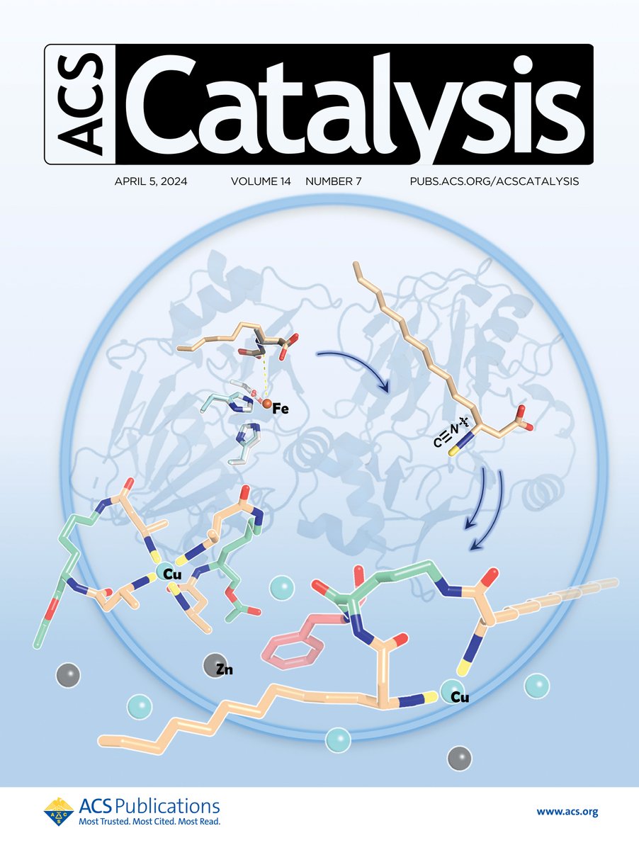 Manuscript 'Variation in Biosynthesis and Metal-Binding Properties' by the Chang research group and their collaborators has been highlighted as Supplementary Cover Art in ACS Catalysis. @ACS4Authors   #MyACSCover Congrats! 🧪🧪🧪 #chempack @NCStateSciences pubs.acs.org/doi/10.1021/ac…