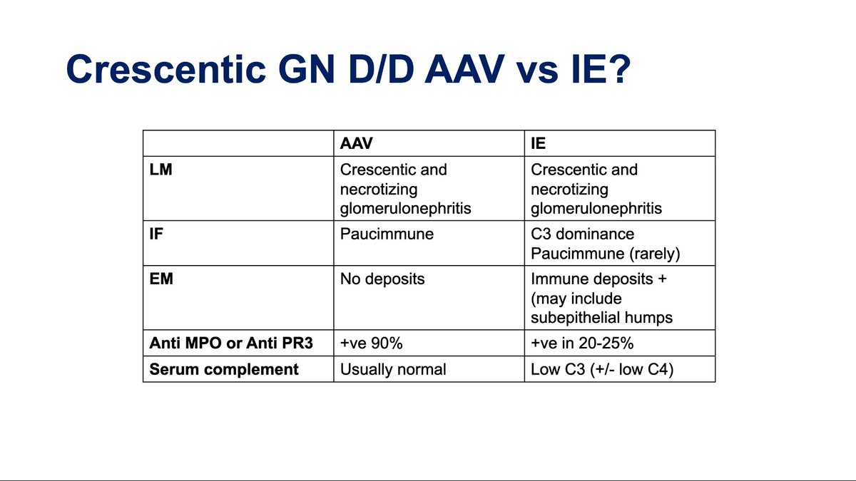 Considering the differentials for the renal biopsy appearance of paucimmune crescentic GN.. is this vasculitis? @ISNeducation @ISNkidneycare @myadla #ECNeph