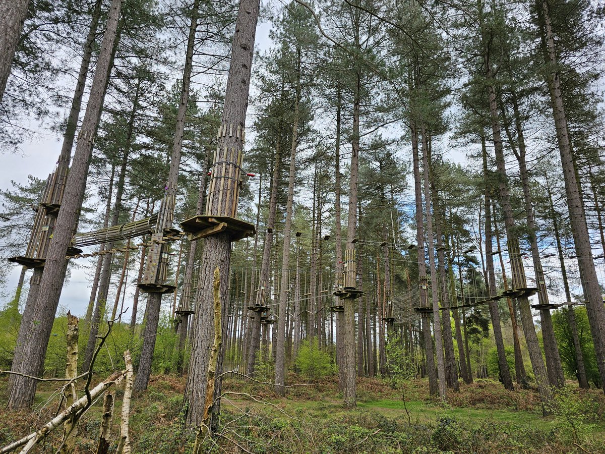 keithward01's tweet image. Super #learningwalk today at #cannockchaseforest with Jacqui Blackford from #ForestryEngland