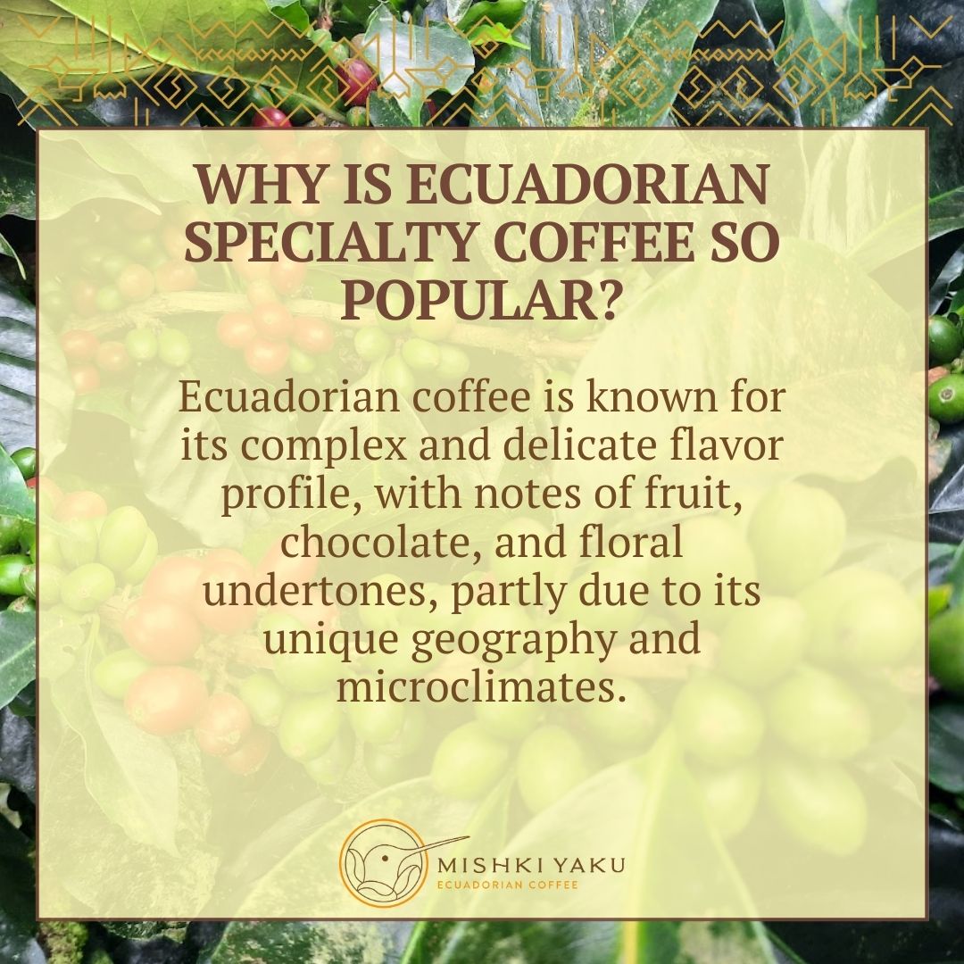 Ecuadorian coffee is known for its complex and delicate flavor profile, with notes of fruit, chocolate, and floral undertones, partly due to its unique geography and microclimates. 
#MishkiYakuCoffee #specialtycoffee #keyfactor
#coffeeflavor #luxurycoffee #coffeelife