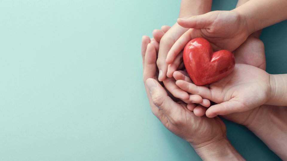 Est-ce que l’administration de lévothyroxine (T4)intraveineuse permet d’augmenter le nombre de greffons cardiaques transplantés à partir de donneurs en état de mort encéphalique (EME) instables hémodynamiquement ? 🔗zurl.co/pnEJ #Reactu #CERC