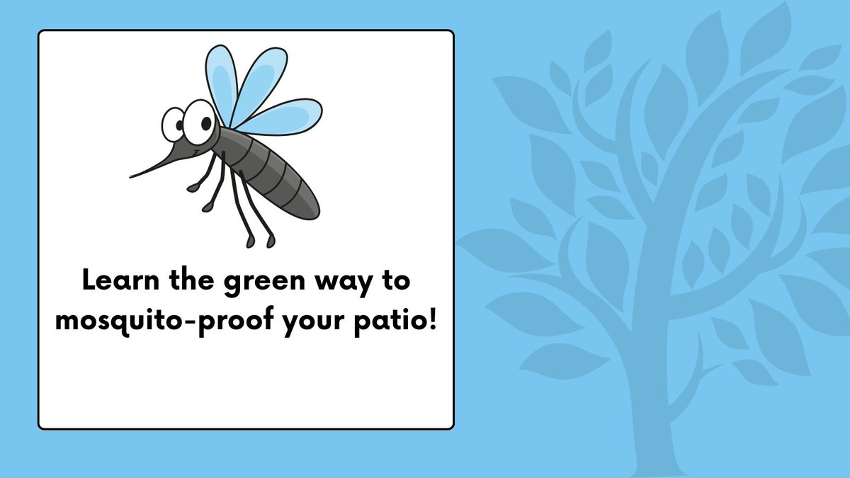 As summer approaches, mosquitos are ready to make your patio their home. To avoid itchy bites, read our tips on how to mosquito-proof your patio in an Earth-friendly and chemical-free way at bit.ly/3JxXygt!