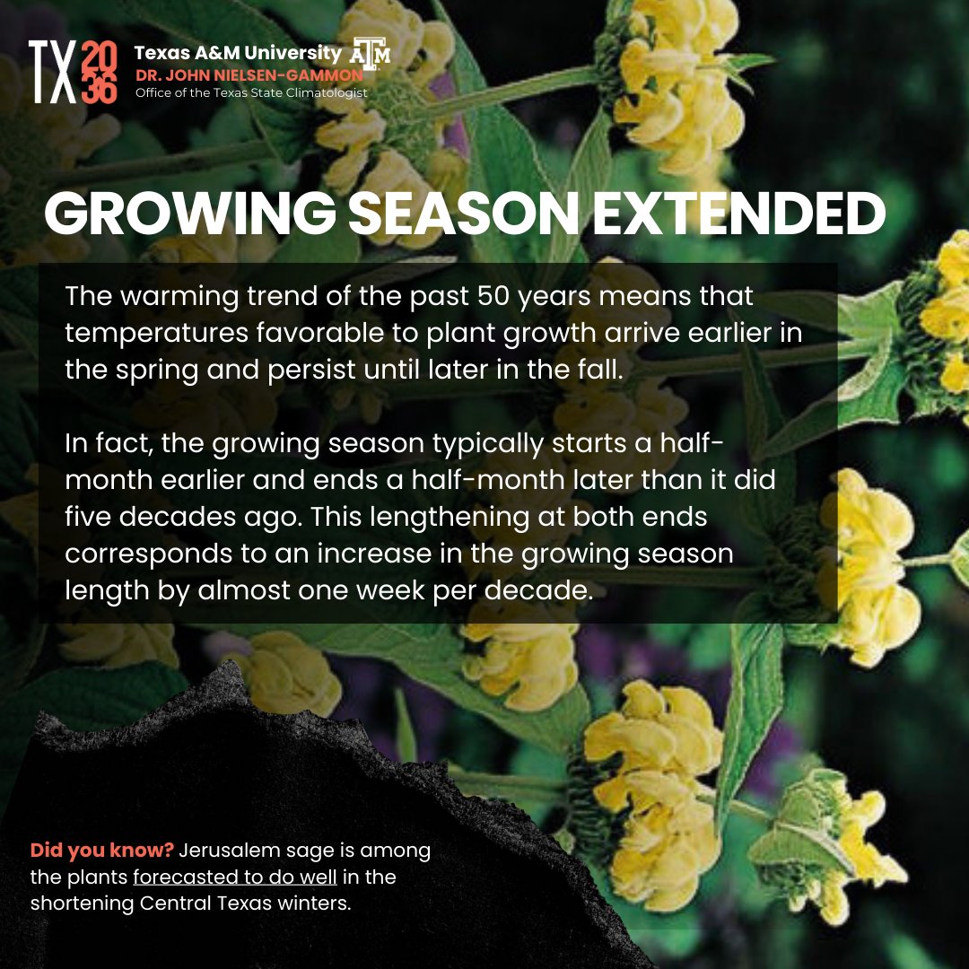 Texas2036's tweet image. The warming trend of the past 50 years means that temperatures favorable to plant growth arrive earlier in the spring and persist until later in the fall.

Here's what you need to know: bit.ly/4ahikgw